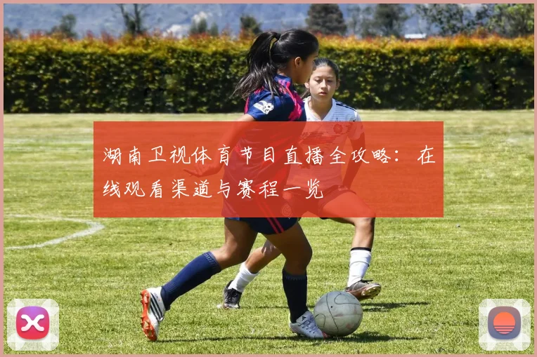湖南卫视体育节目直播全攻略：在线观看渠道与赛程一览
