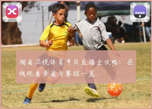 湖南卫视体育节目直播全攻略：在线观看渠道与赛程一览
