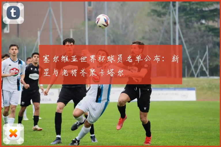 塞尔维亚世界杯球员名单公布：新星与老将齐聚卡塔尔