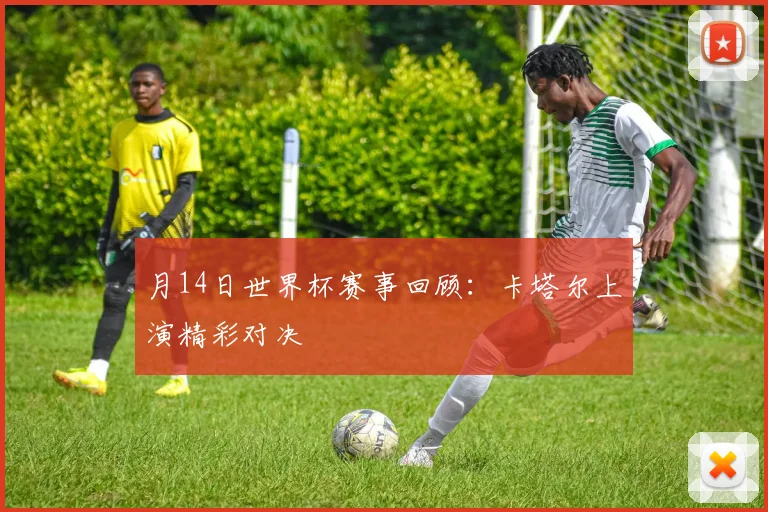 月14日世界杯赛事回顾:卡塔尔上演精彩对决