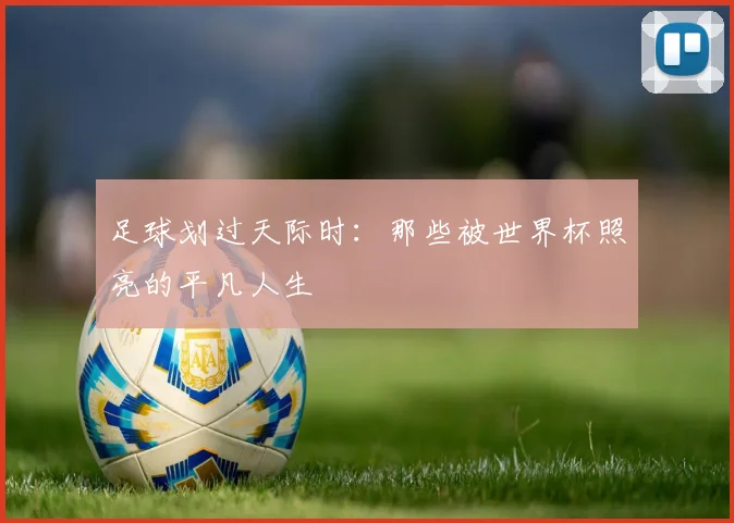足球划过天际时：那些被世界杯照亮的平凡人生