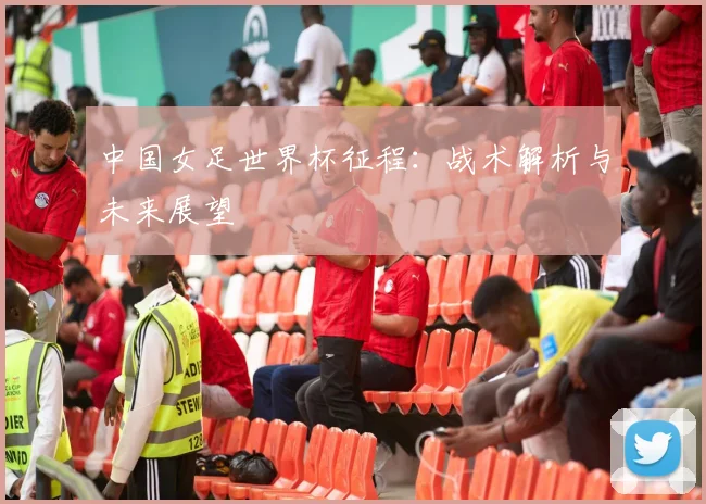 中国女足世界杯征程：战术解析与未来展望