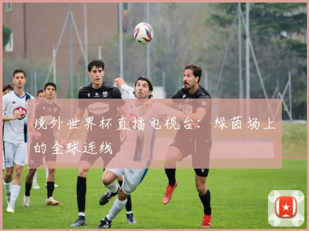 境外世界杯直播电视台：绿茵场上的全球连线